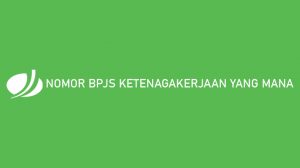 Nomor Bpjs Ketenagakerjaan Yang Mana Begini Cara Mengetahuinya